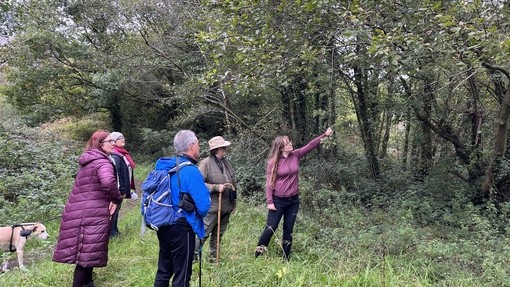 Walkers enjoying the countryside