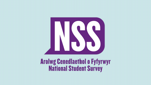 NSS Survey