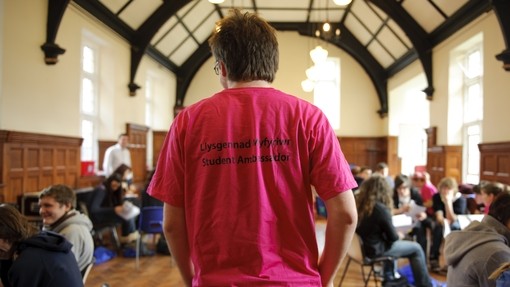 Student ambassador standing in front of group of students