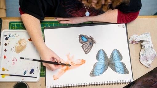 Illustration student drawing butterflies in a sketchbook
