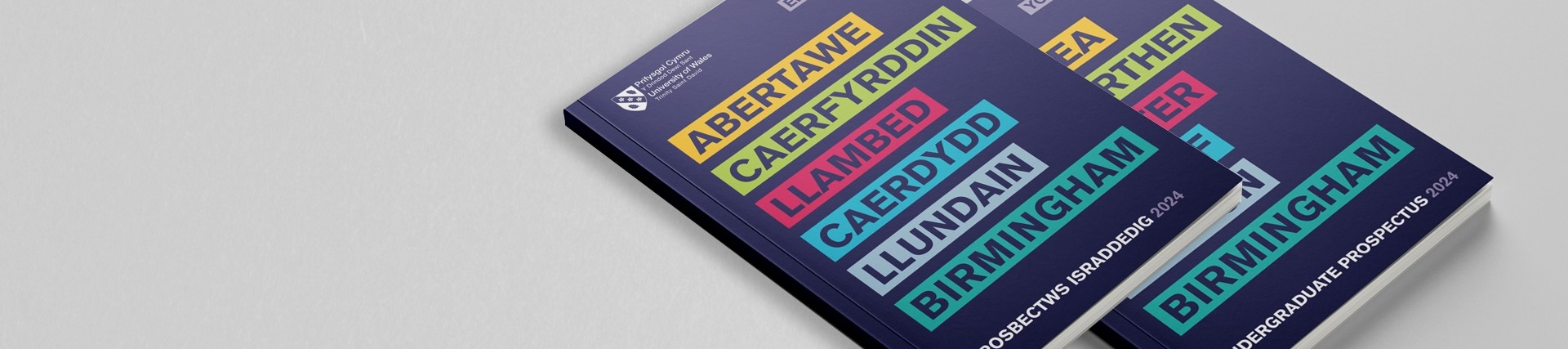 English and Welsh UWN prospectus