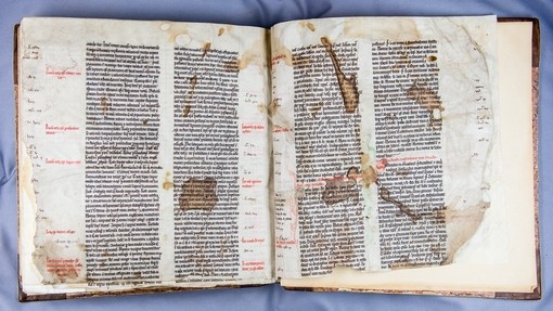 Spread from the Monk's Blood Manuscript