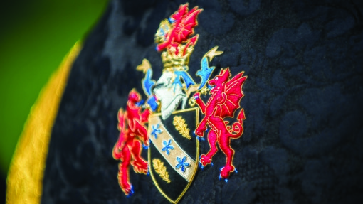 Back of graduation gown showing University crest